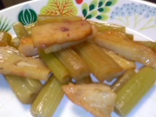 170425_2046~01.jpg