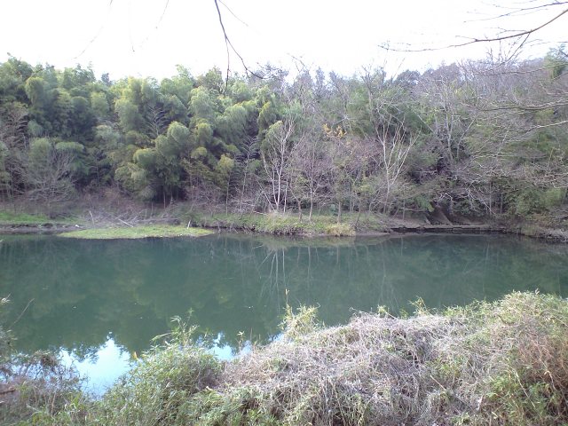 花見川