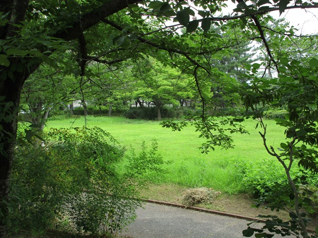 04_IMG_2044.JPG