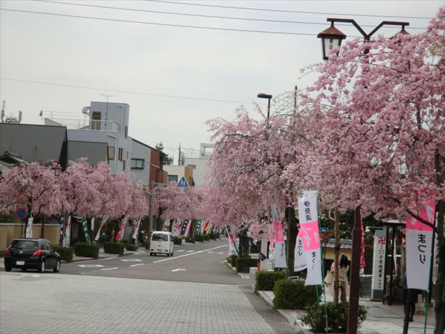 CIMG4589_R.JPG