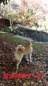 花沢の里
