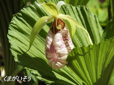 四季の森公園にて