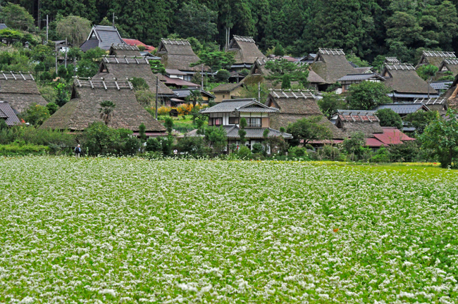 美山５