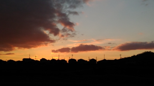 20151201003.jpg