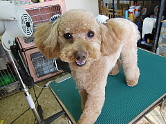 conv0065.JPG