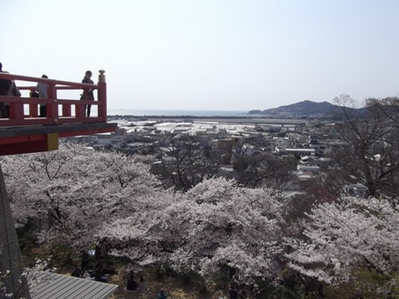 DSCF2589.JPG