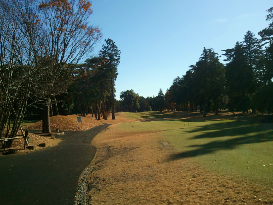 2012-12-05 10.46.49.jpg