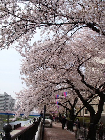 DSCN3832.jpg