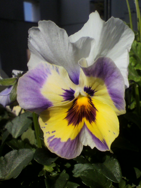2013010912440001.jpg