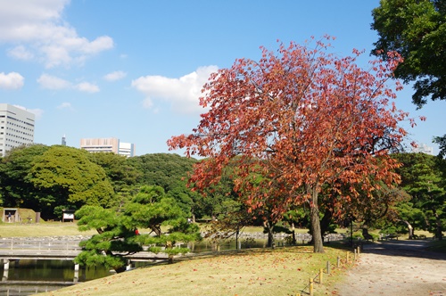 浜離宮恩賜庭園