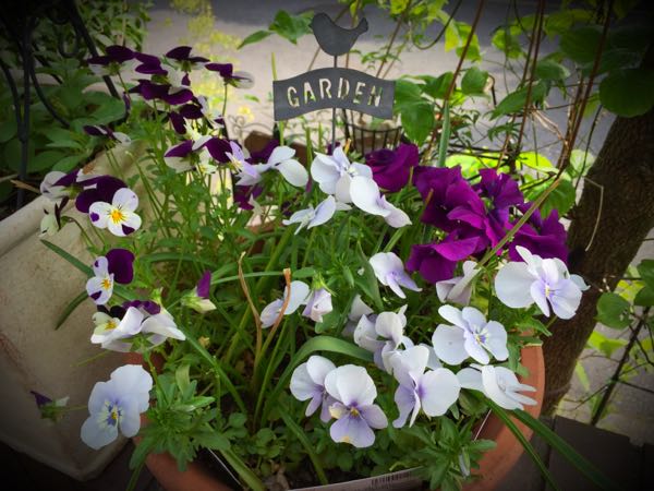 rblog-20150430203917-02.jpg