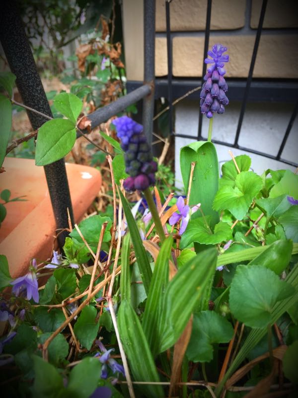 rblog-20160403110811-03.jpg