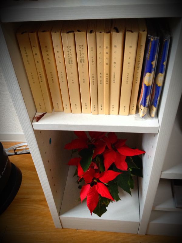 rblog-20141228203941-01.jpg