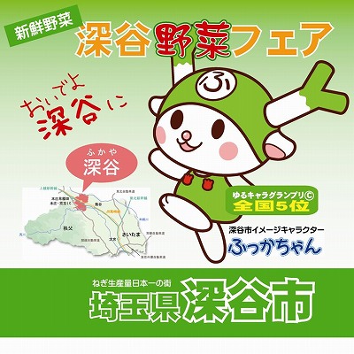 13年01月の記事一覧 深谷ねぎっこブログ 楽天ブログ