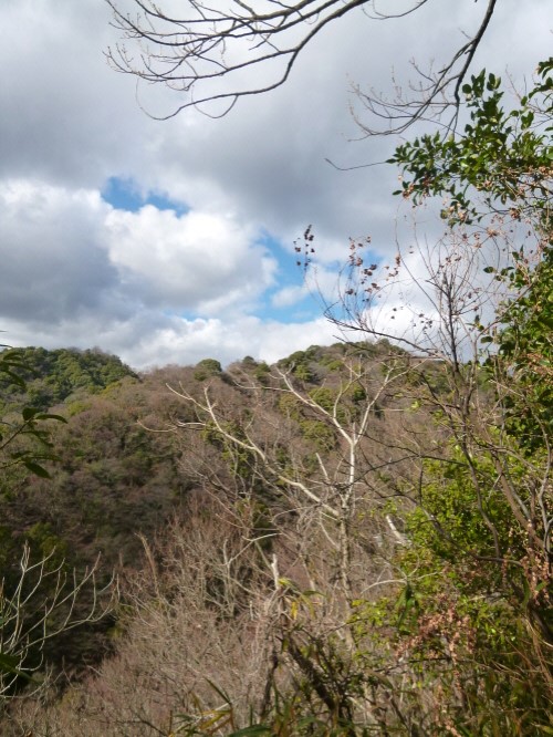 P1140907(1).JPG