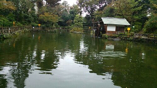 rblog-20151017182313-03.jpg