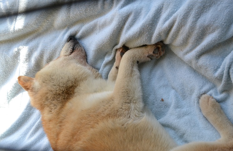 DSC_0719.JPG