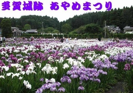 500_10582315.jpg
