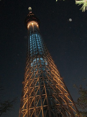 IMG_1005.jpg