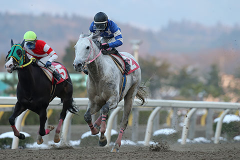 160107-004エーシンシャラク.jpg