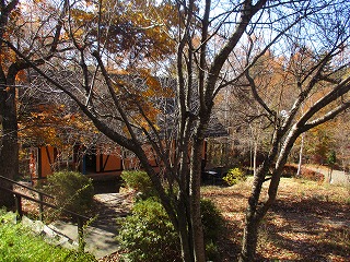 IMG_3009ss.jpg