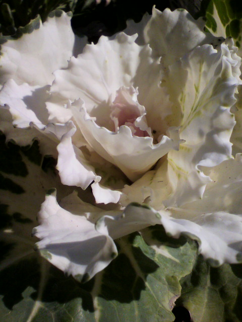 2012121913040000.jpg