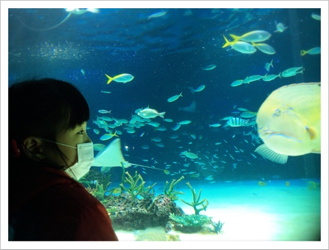 サンシャイン水族館
