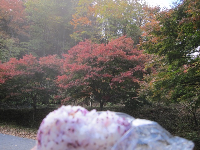 20141103お出かけ.jpg