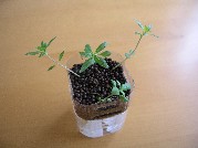 20120704-1.JPG