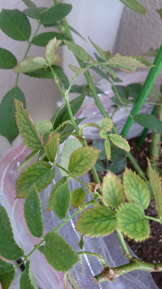 2016-07-10 19.jpg