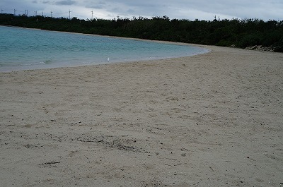 DSC03161.jpg