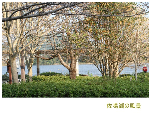 佐鳴湖１-1.jpg