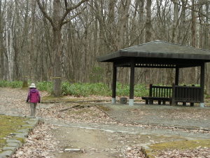 04-16walking (1).JPG