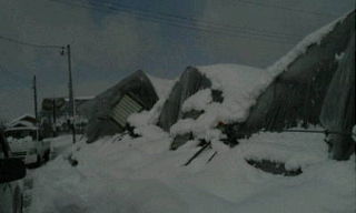中野雪被害３.jpg