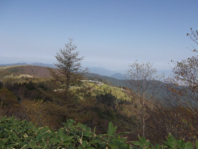 登山道2.jpg
