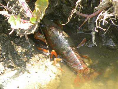 DSCN9162.jpg