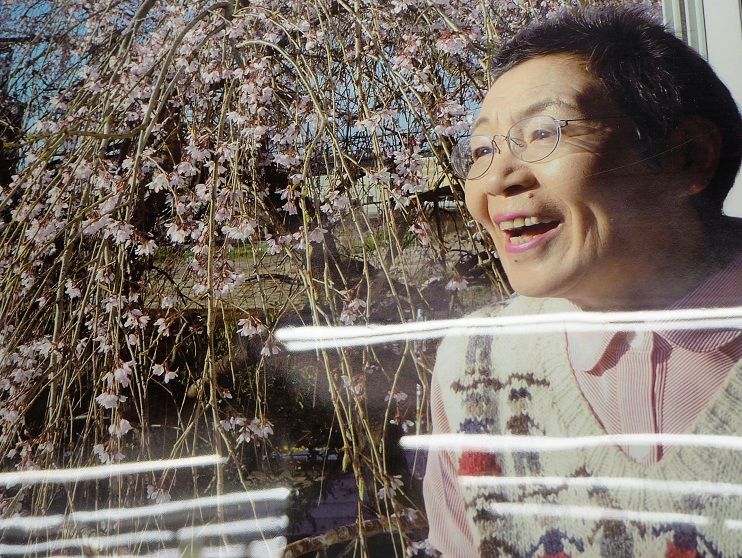 田部井淳子展 東北地方の山と花・・・頑張れ東北 頑張れ日本 楽天ブログ