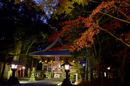 20161125-105504125maiduru_1.jpg