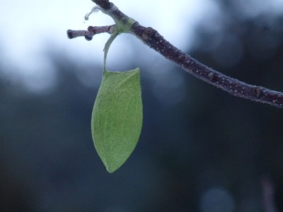 P1260056.JPG