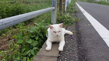 20160921_122038.jpg