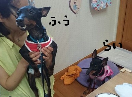 1433081664996.jpg