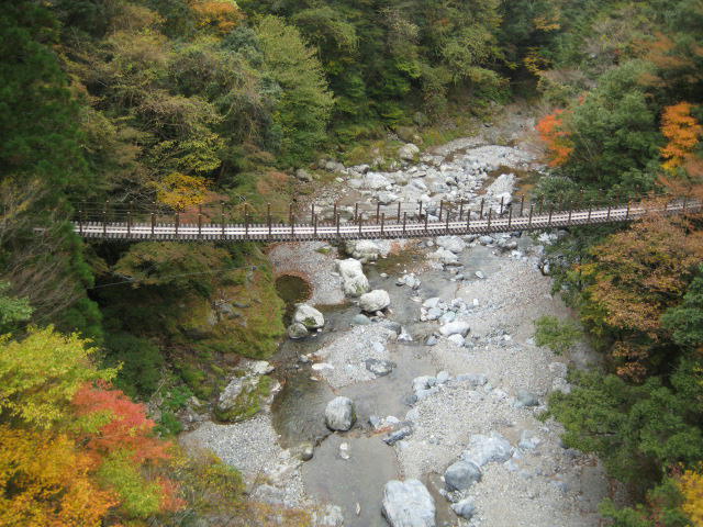 IMG_9826.JPG