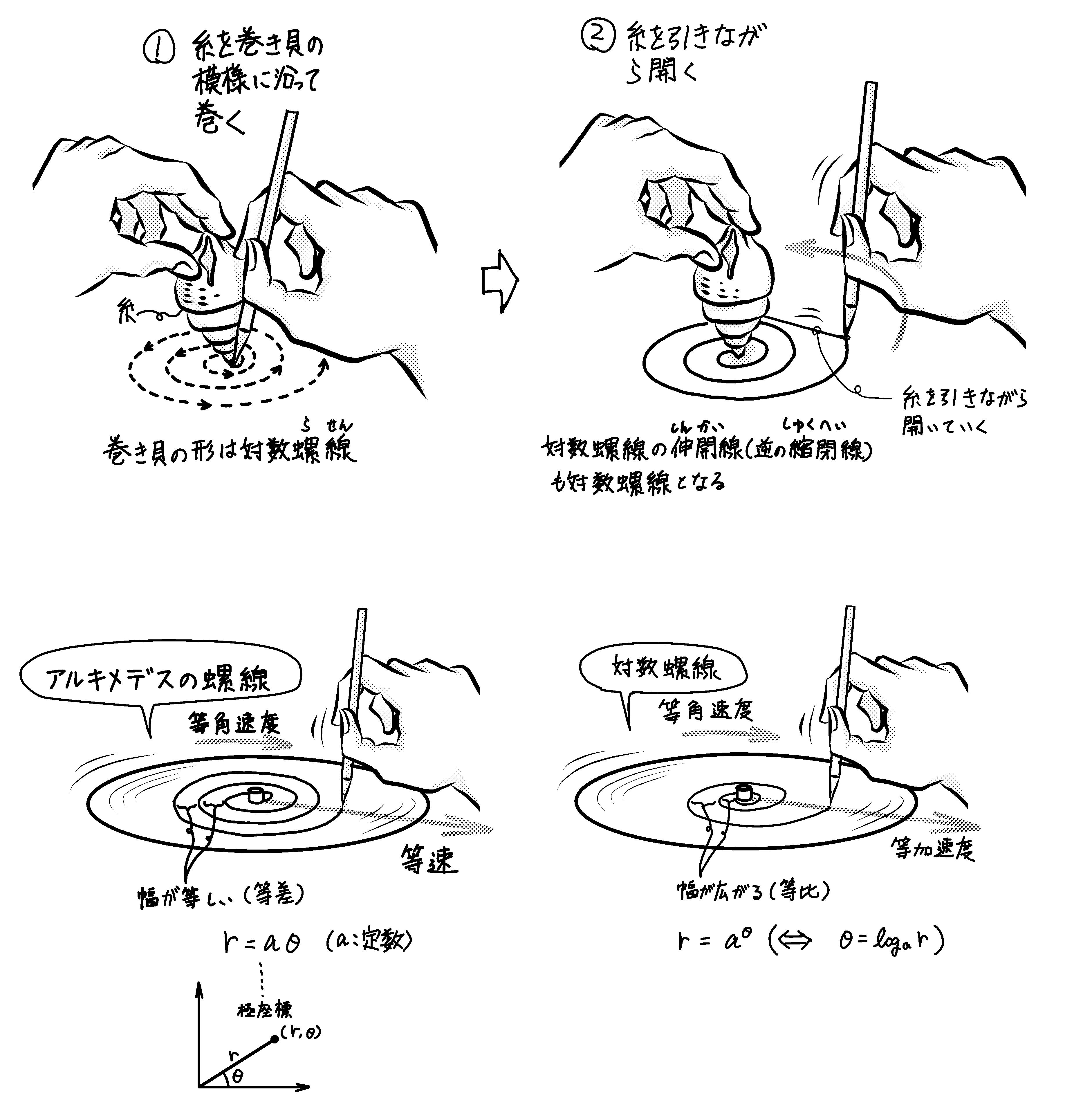 イオニア式の渦巻きの書き方 ミカオ建築館 日記 楽天ブログ