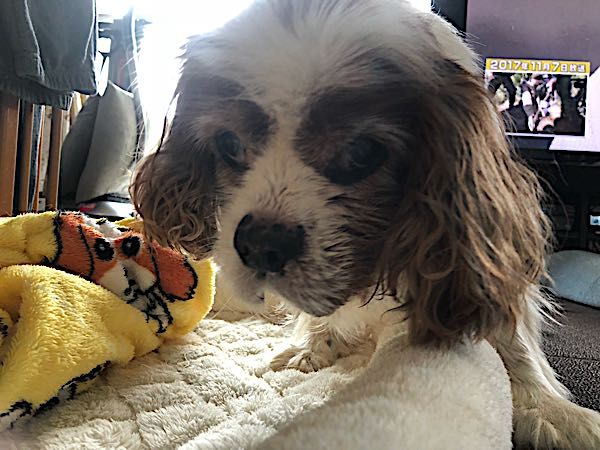 rblog-20180329175903-01.jpg