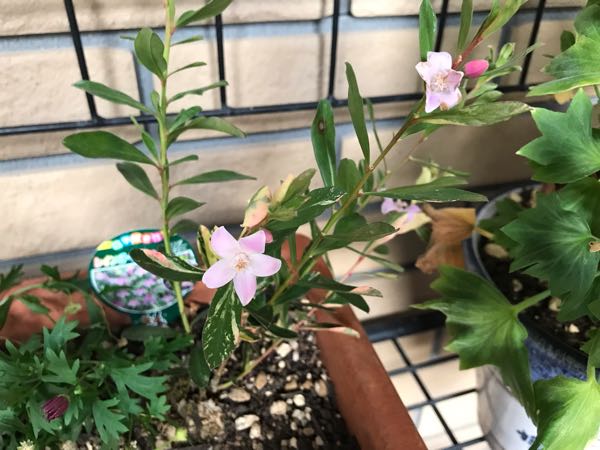 rblog-20181203161408-01.jpg