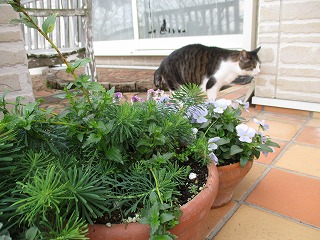 IMG_4063ss.jpg
