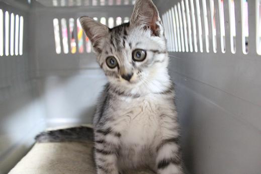 IMG_2999 - コピー.JPG