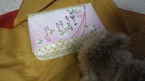 IMGP1380 80-1.jpg