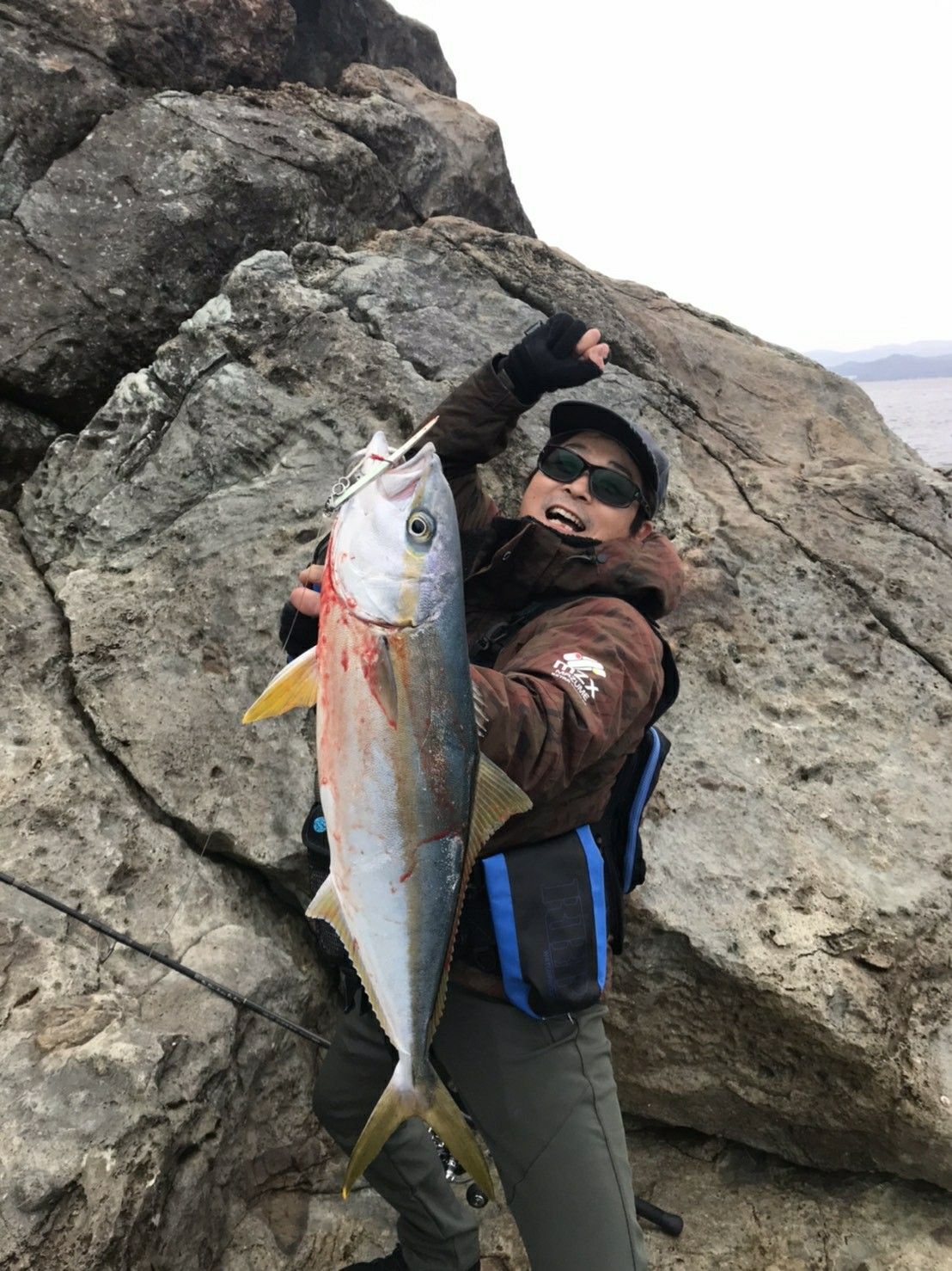青物 サメジの釣り暮らし 楽天ブログ