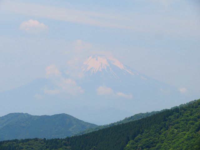 丹沢表尾根・鍋割山（3）烏尾山→塔ノ岳 | 星とカワセミ好きのブログ - 楽天ブログ